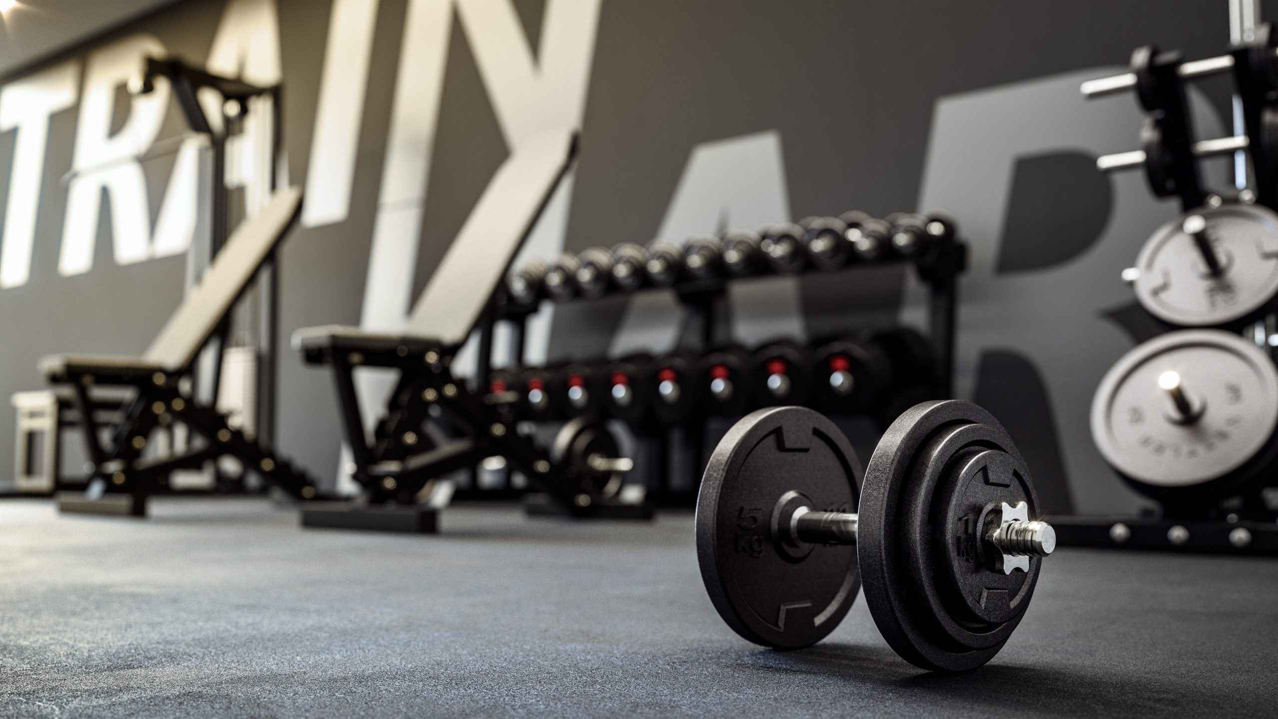 Strength Training Essentials: A Guide to Choosing the Right Weightlifting Equipment - Gym Gear