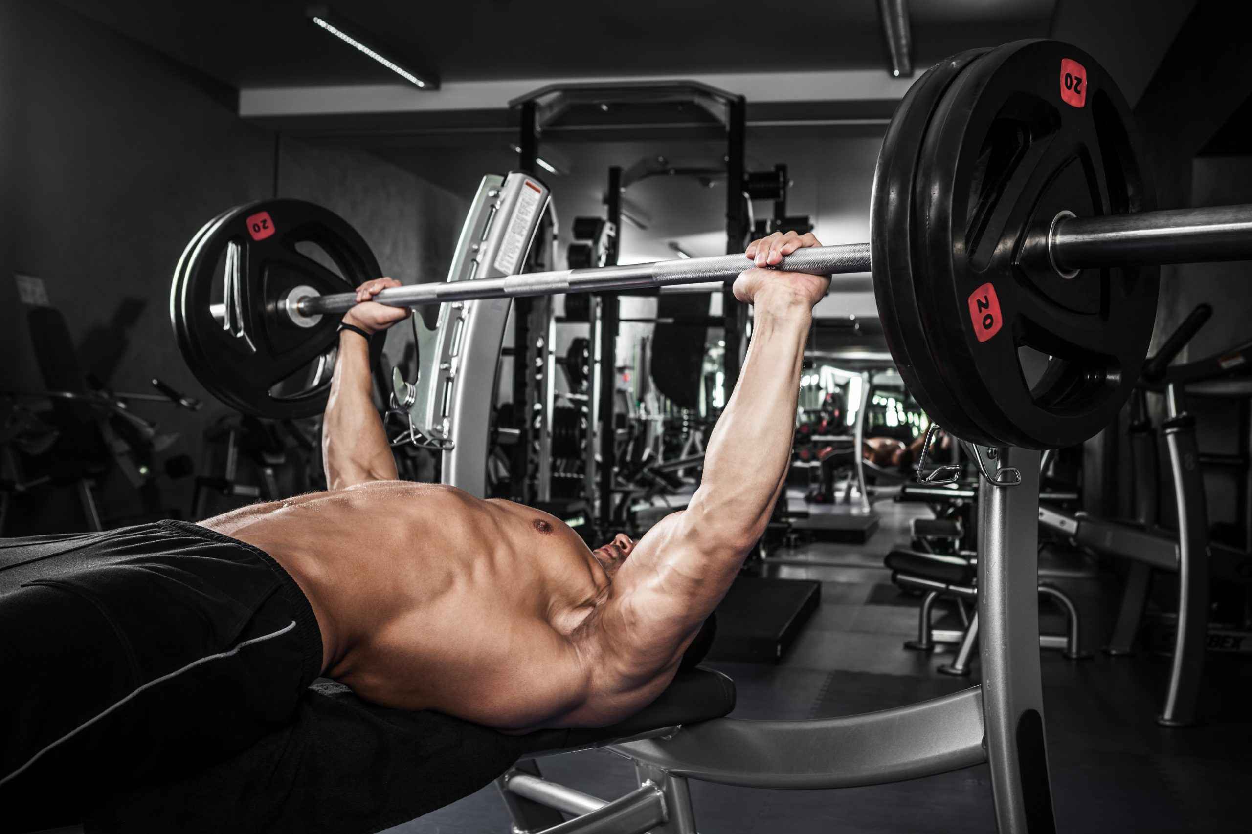 Free Weights vs. Chest Machines: Which is Right for You? - Gym Gear