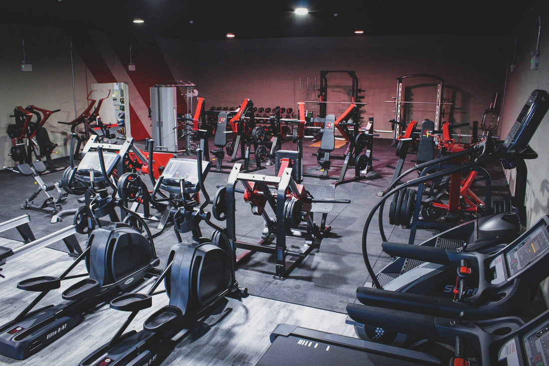 Body Culture - Gym Gear