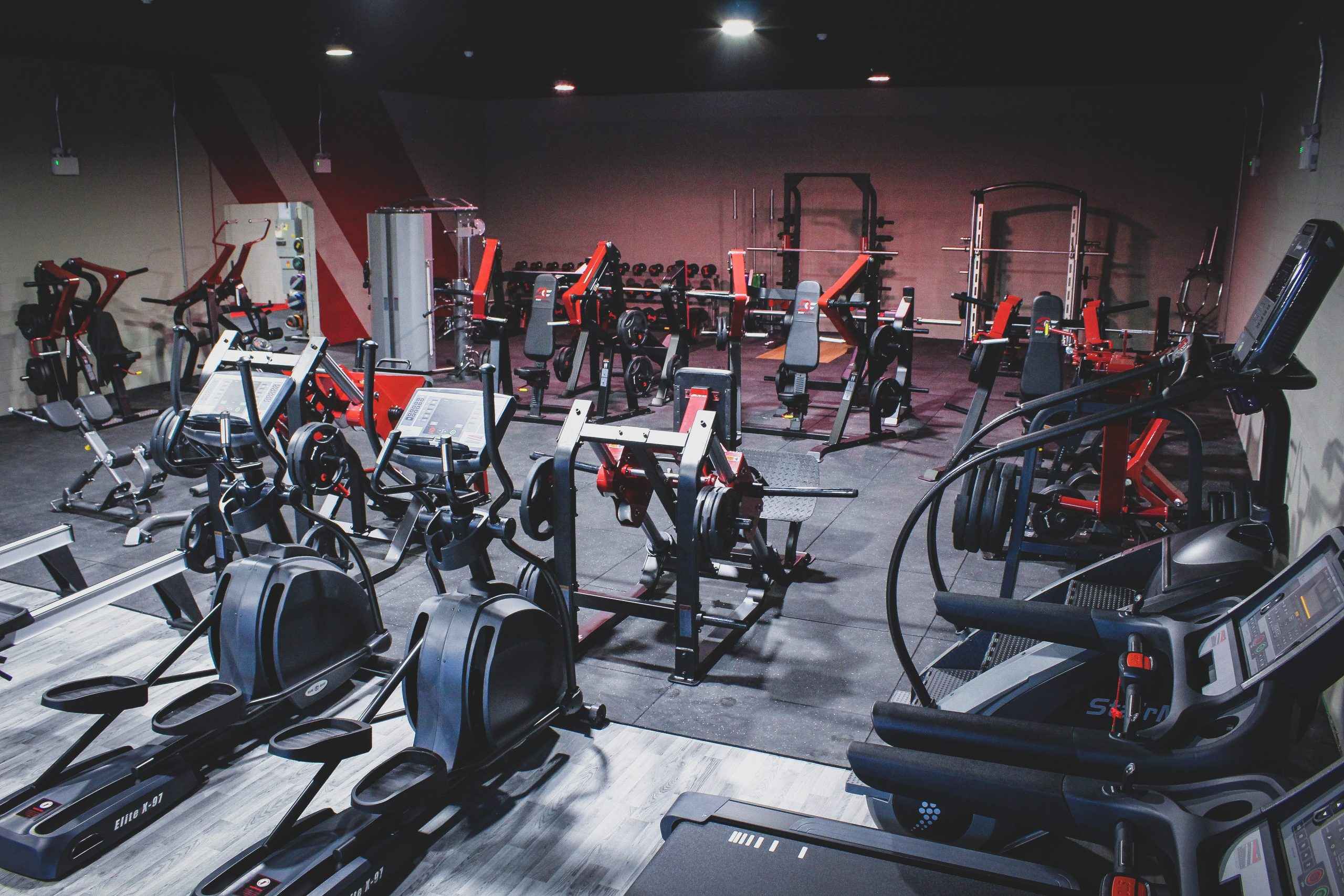 Body Culture - Gym Gear