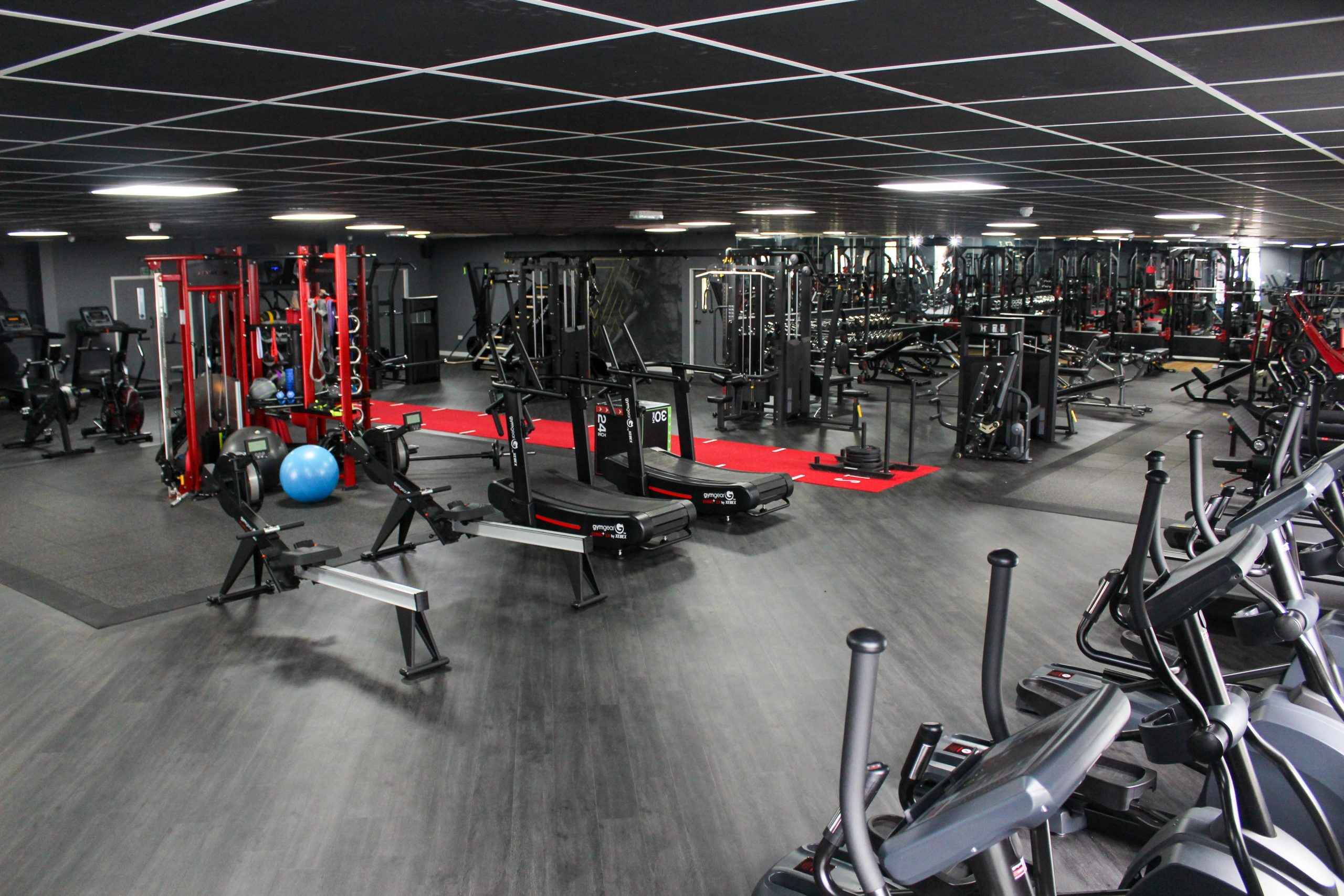 Warriors World - Gym Gear