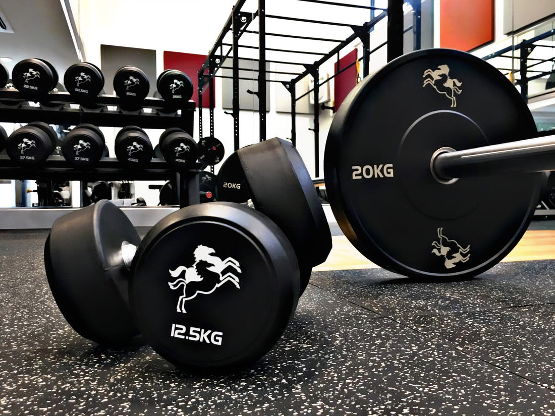 Designing school gyms for supervision, safety, and long-term use - Gym Gear