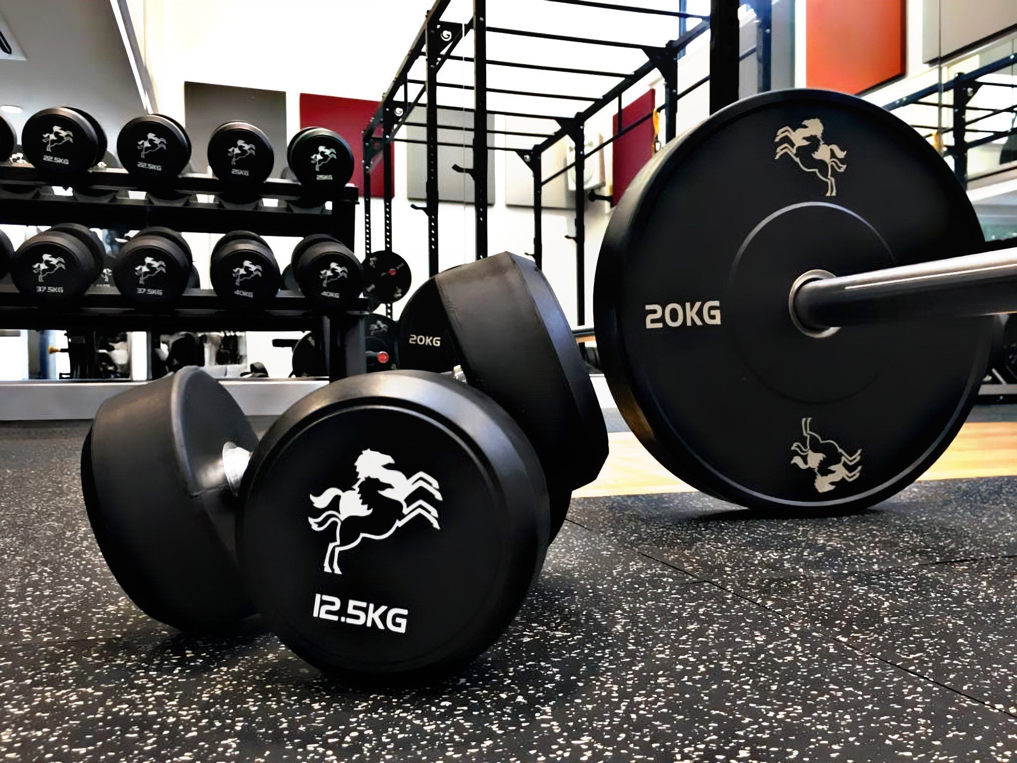 Designing school gyms for supervision, safety, and long-term use - Gym Gear