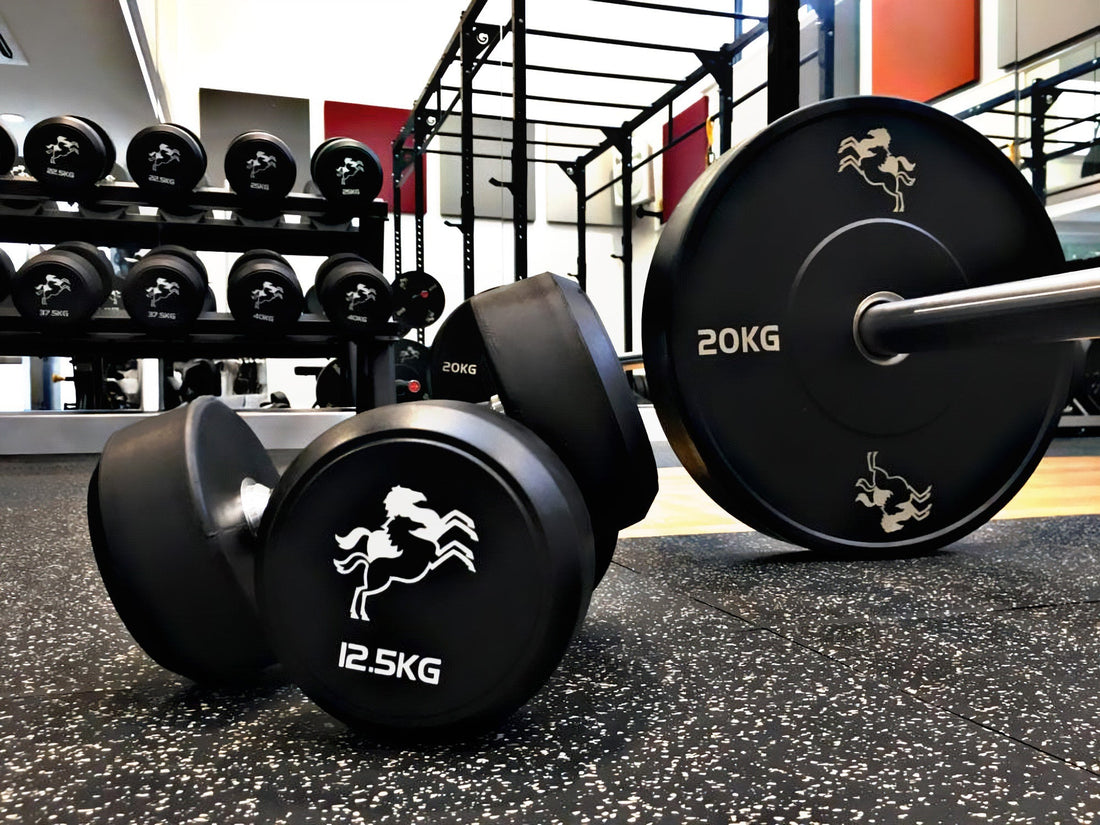 Designing school gyms for supervision, safety, and long-term use - Gym Gear