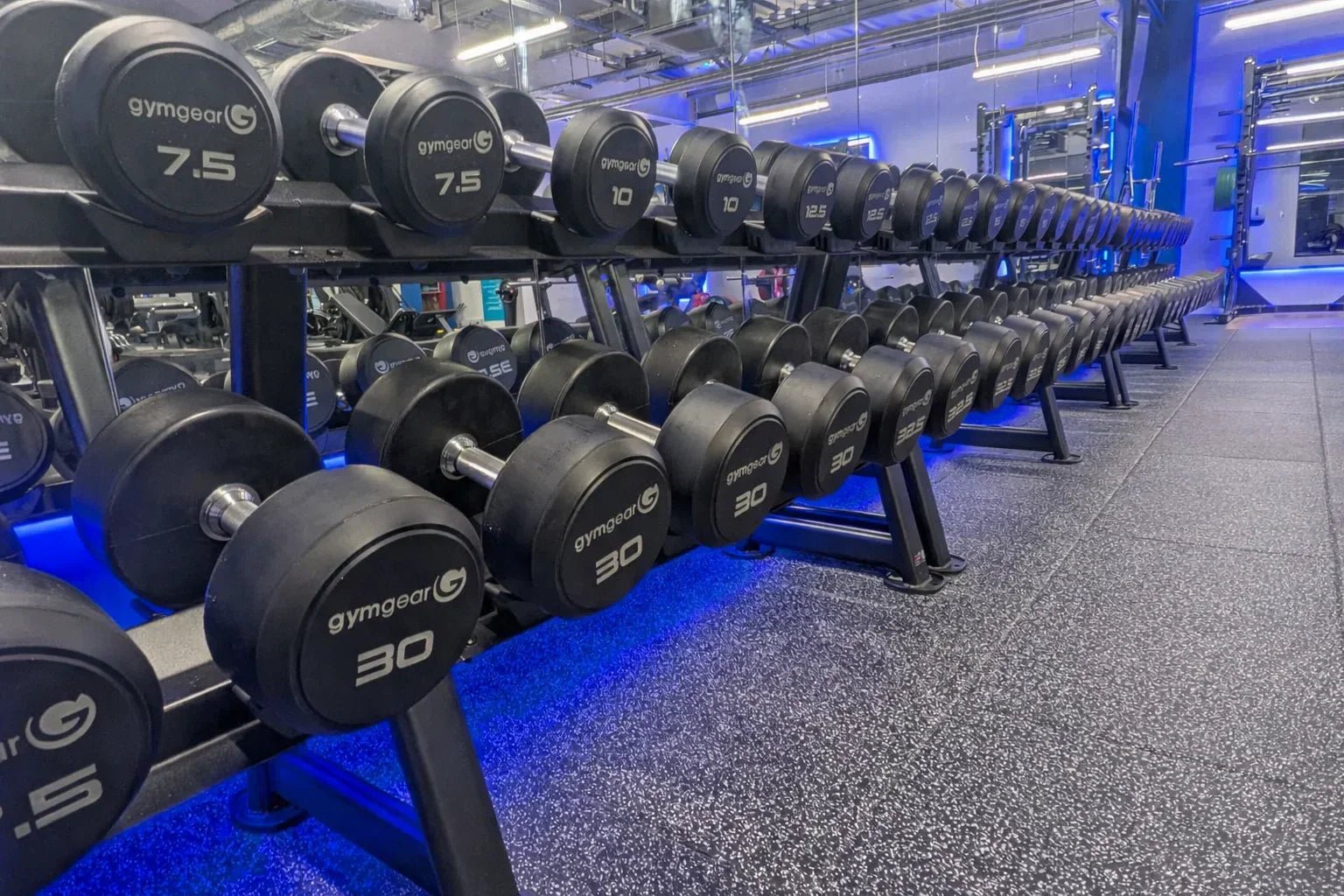 Planning free weights areas for peak-time use in commercial gyms - Gym Gear