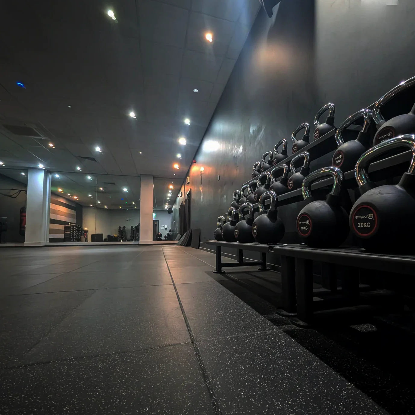 Studio Gym Equipment