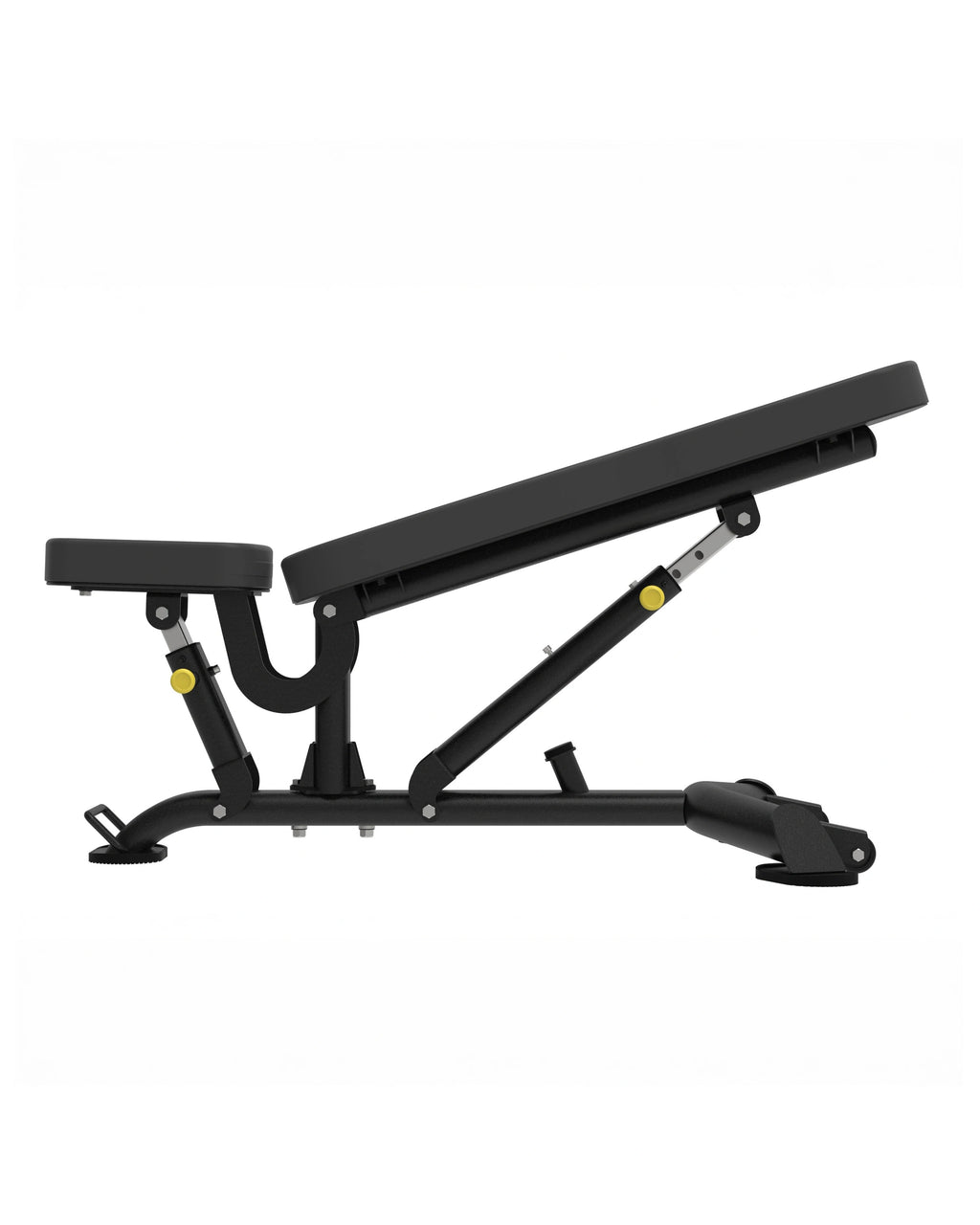 Elite Series, Multi Adjustable Bench (Black)