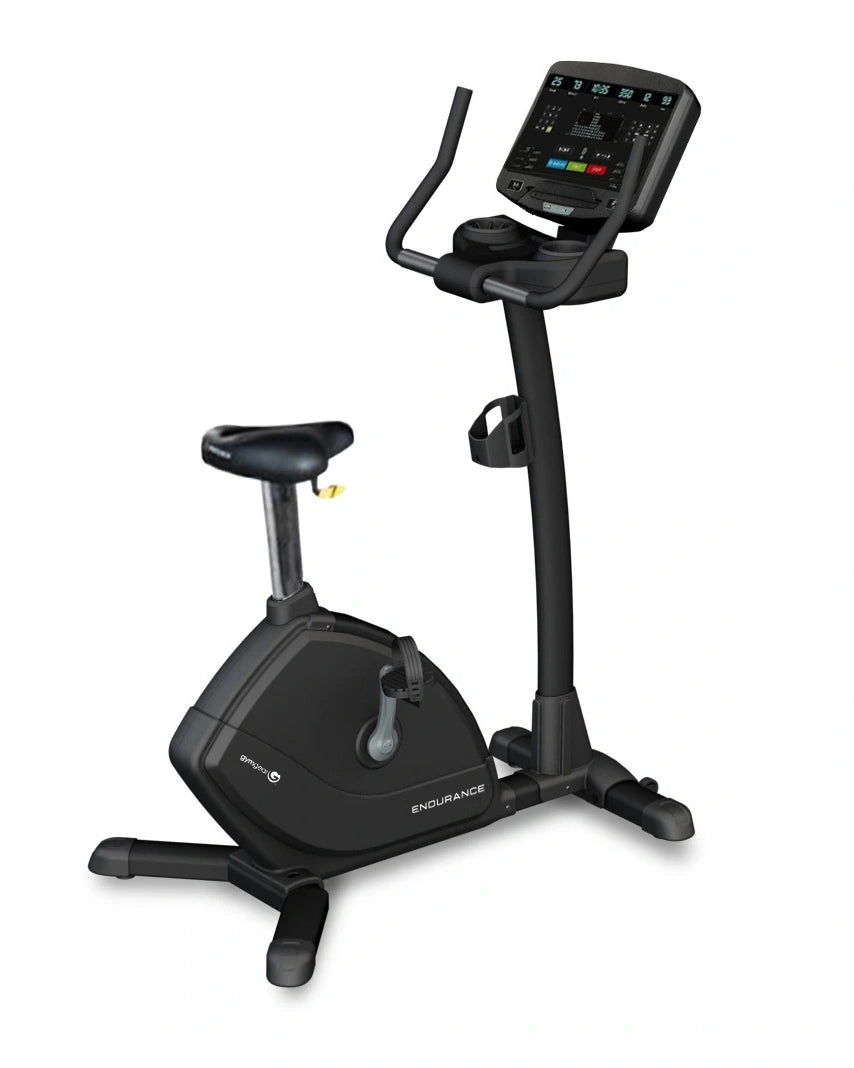 Endurance Upright Bike