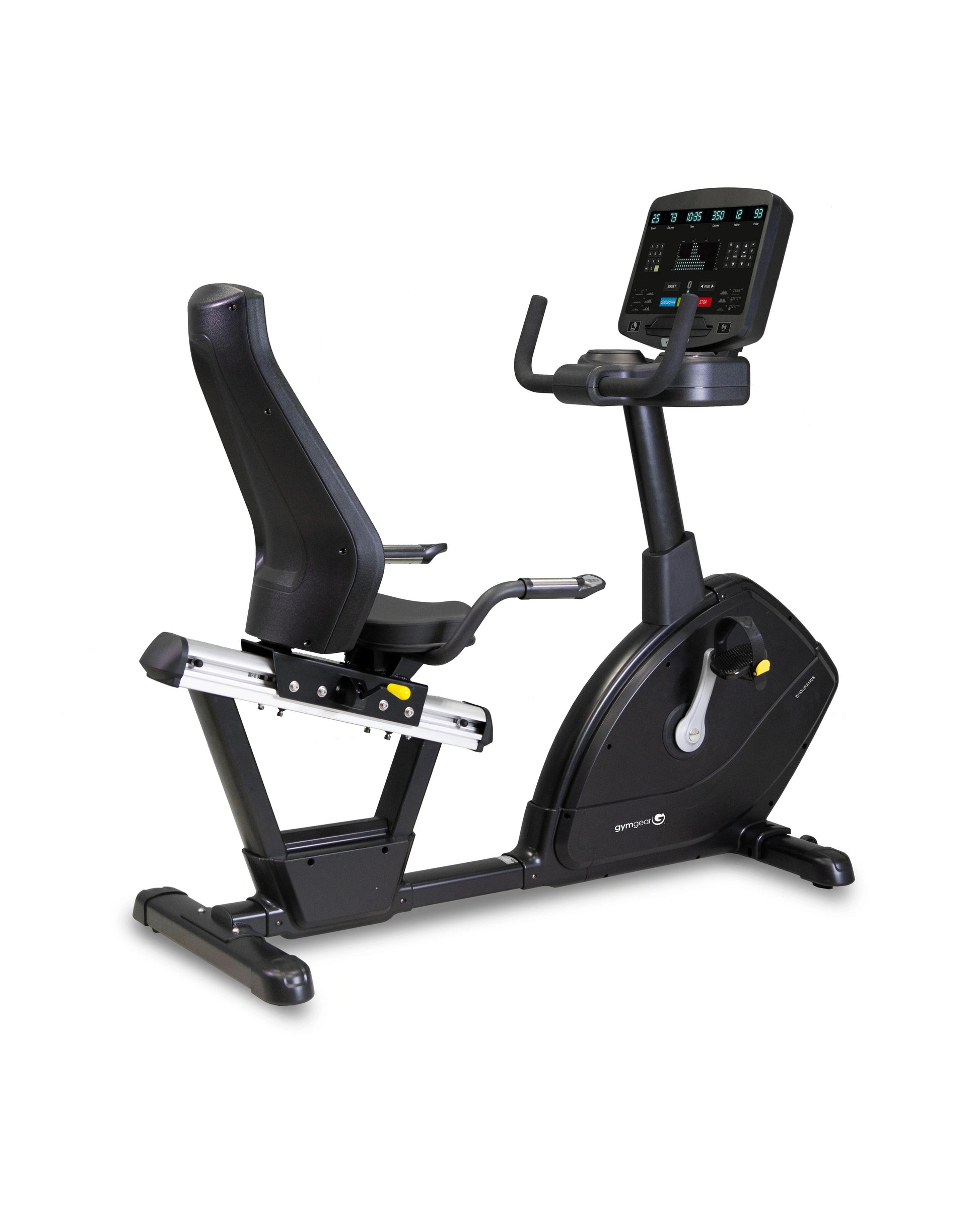 Endurance Recumbent Bike