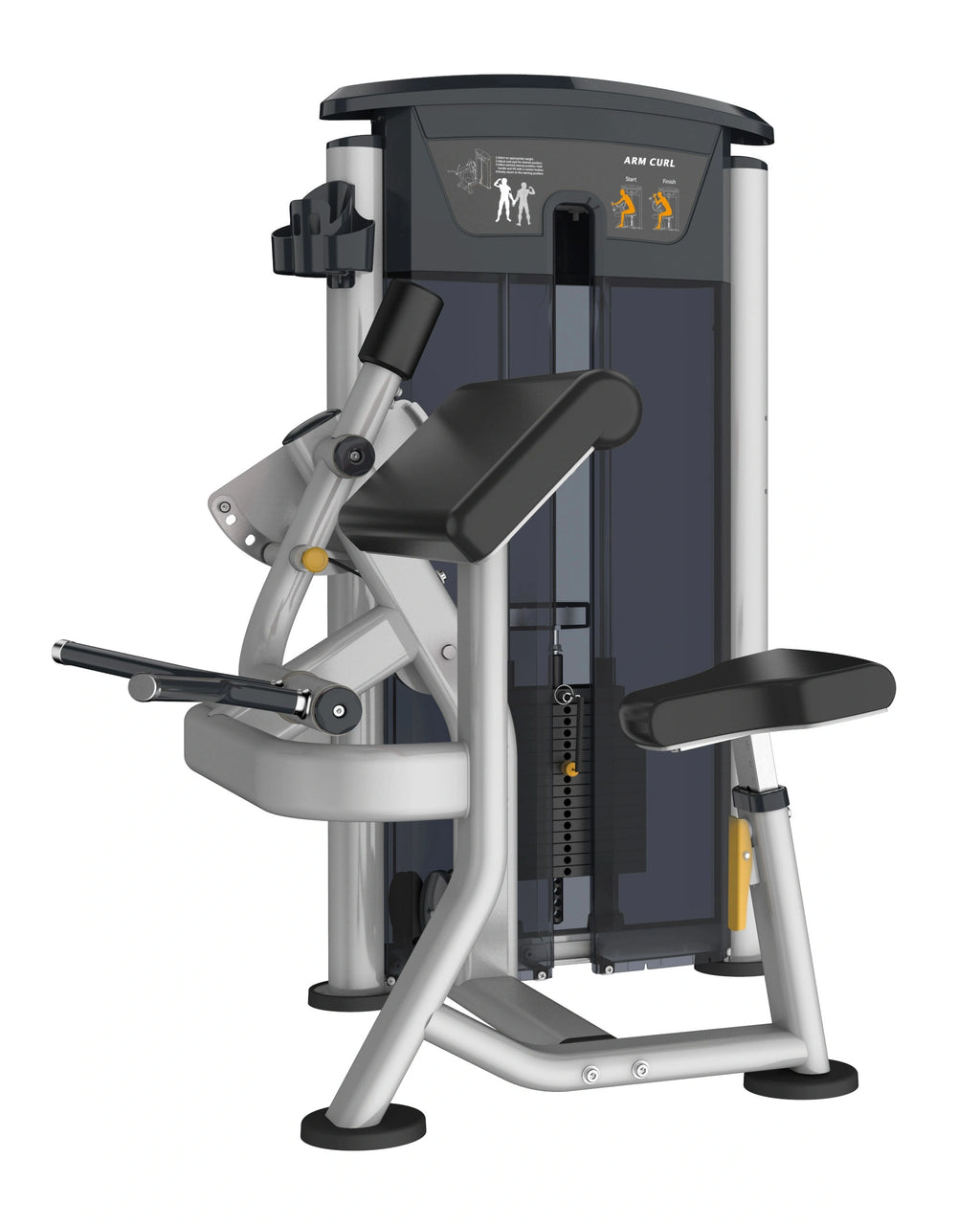 Perform Series, Bicep Curl