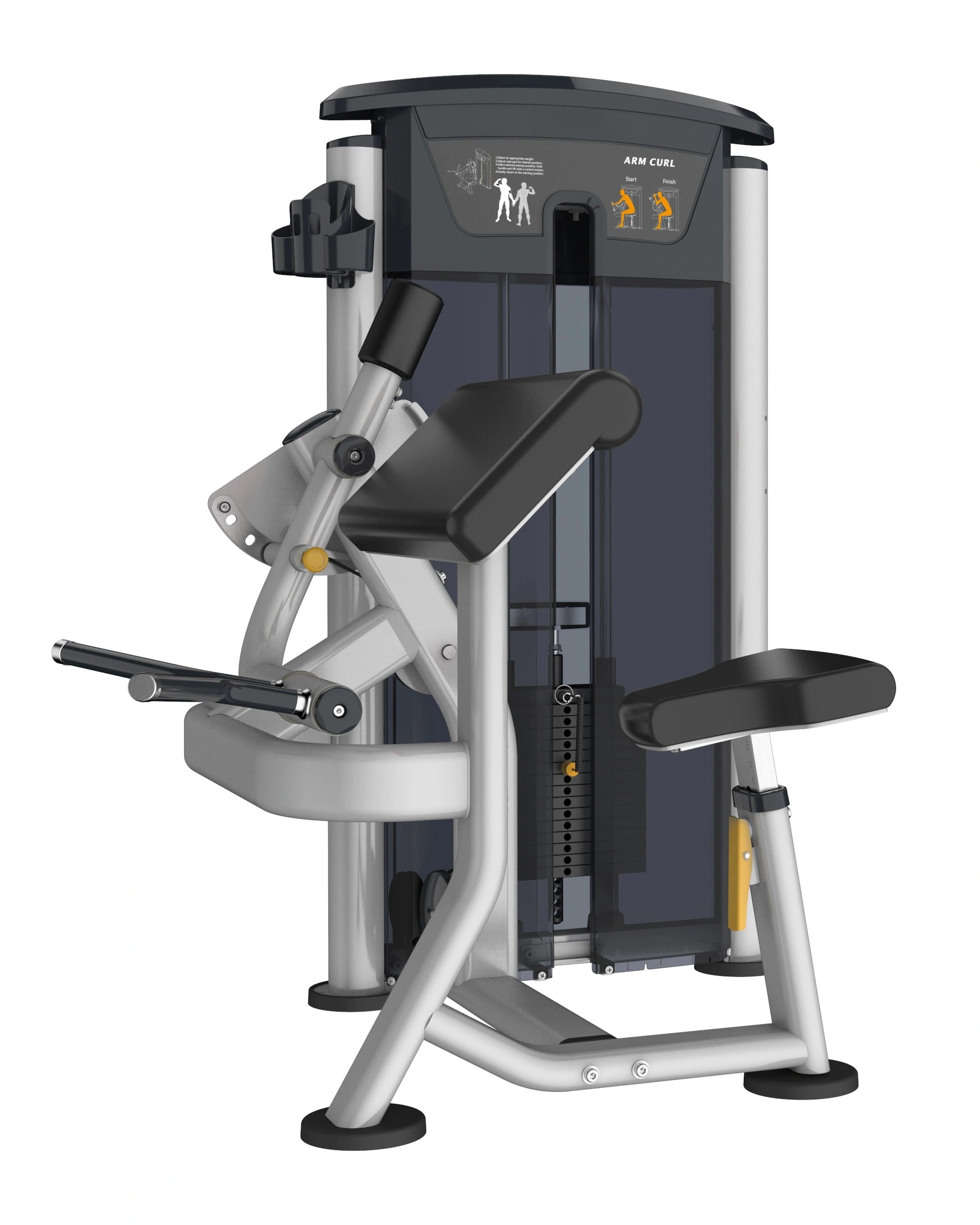 Perform Series, Bicep Curl