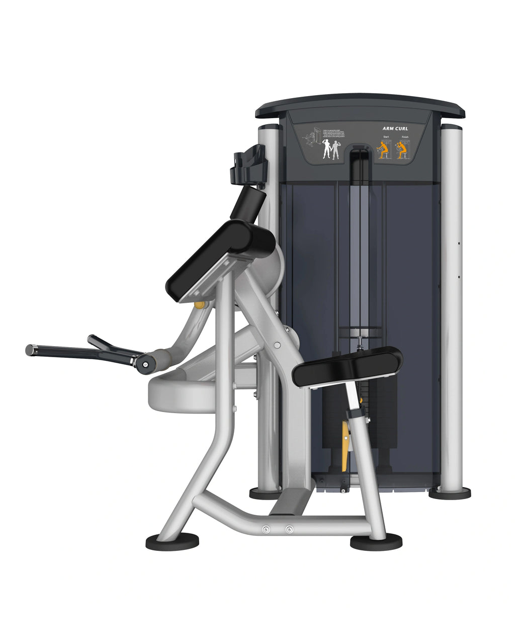 Perform Series, Bicep Curl