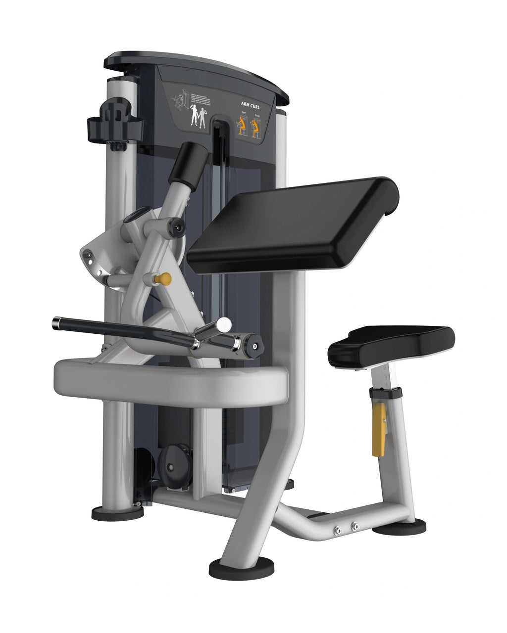 Perform Series, Bicep Curl