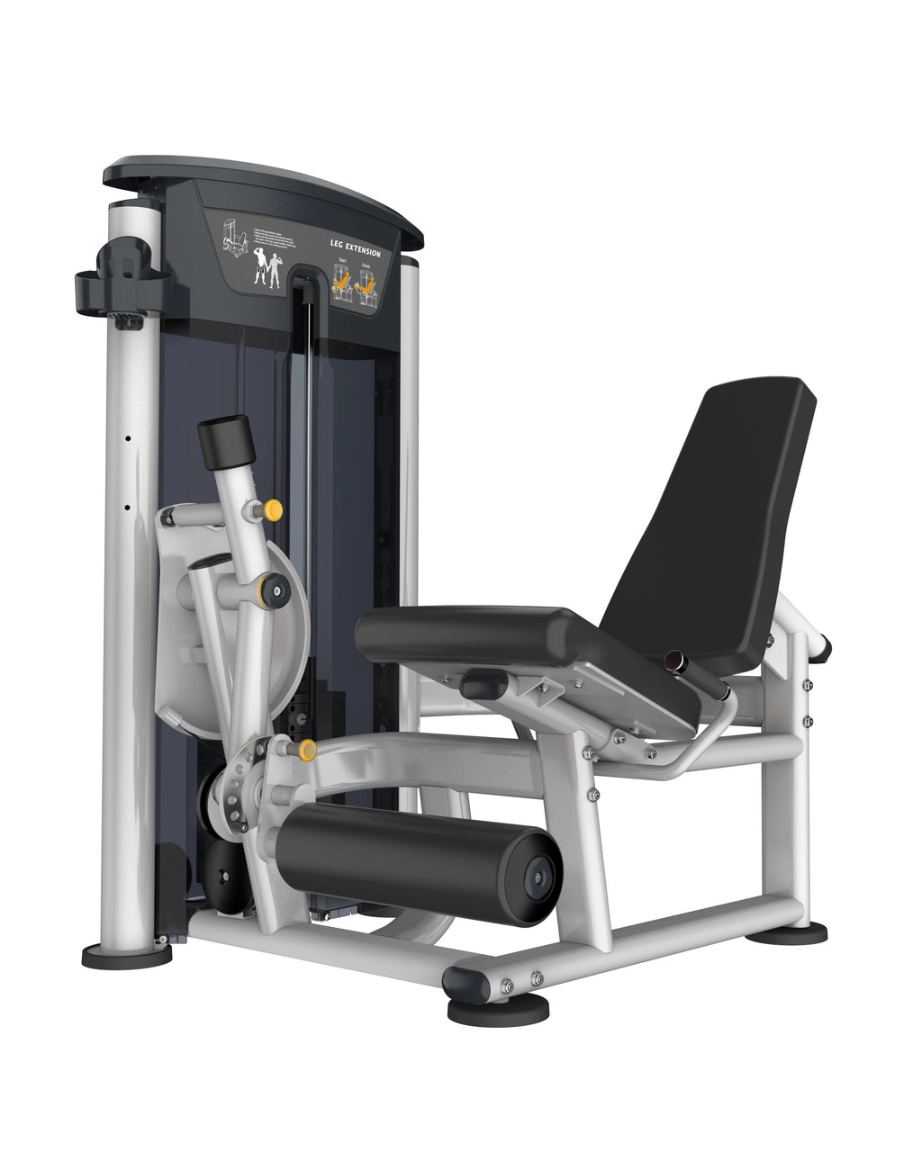 Perform Series, Leg Extension