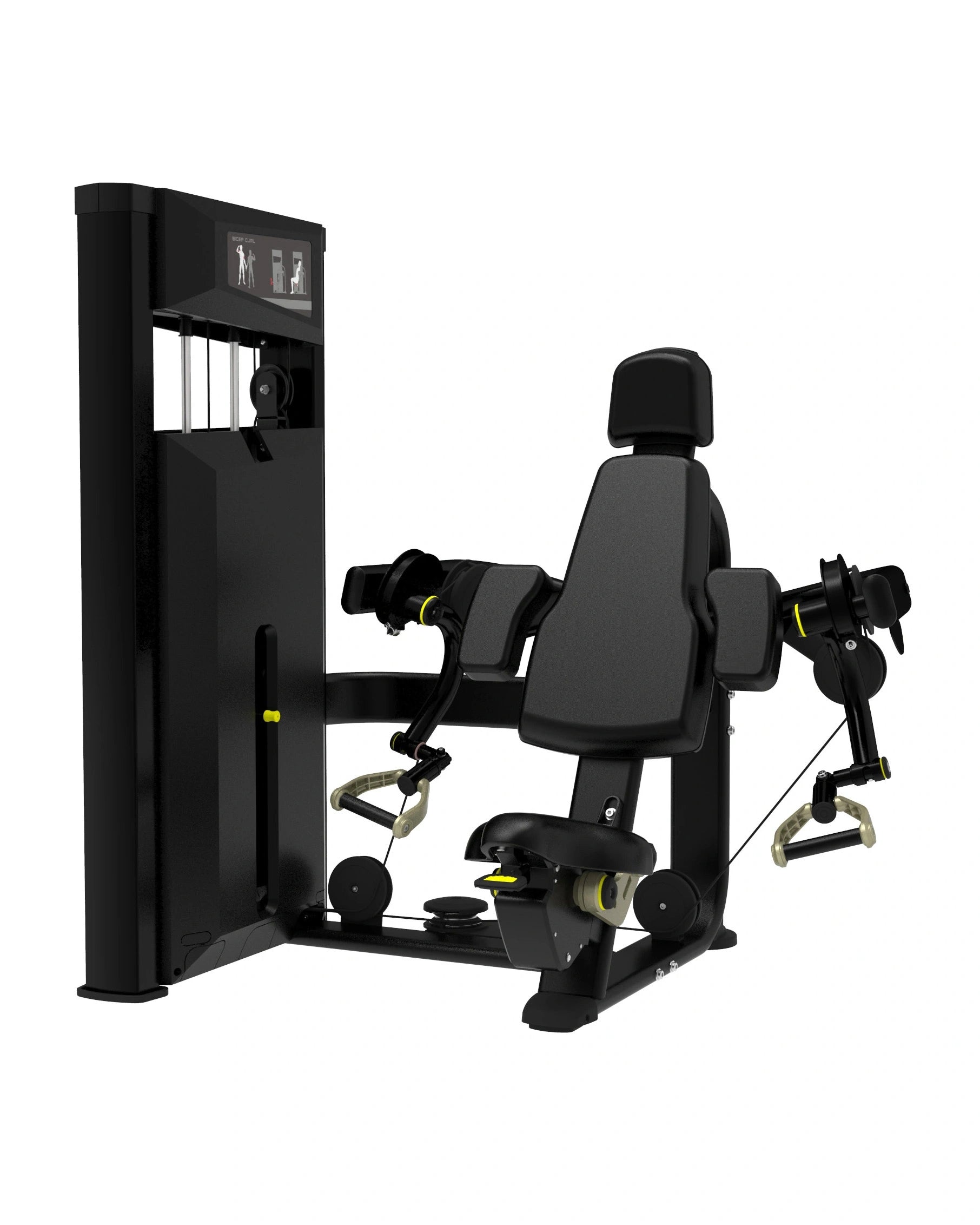 Platinum series, Arm Curl