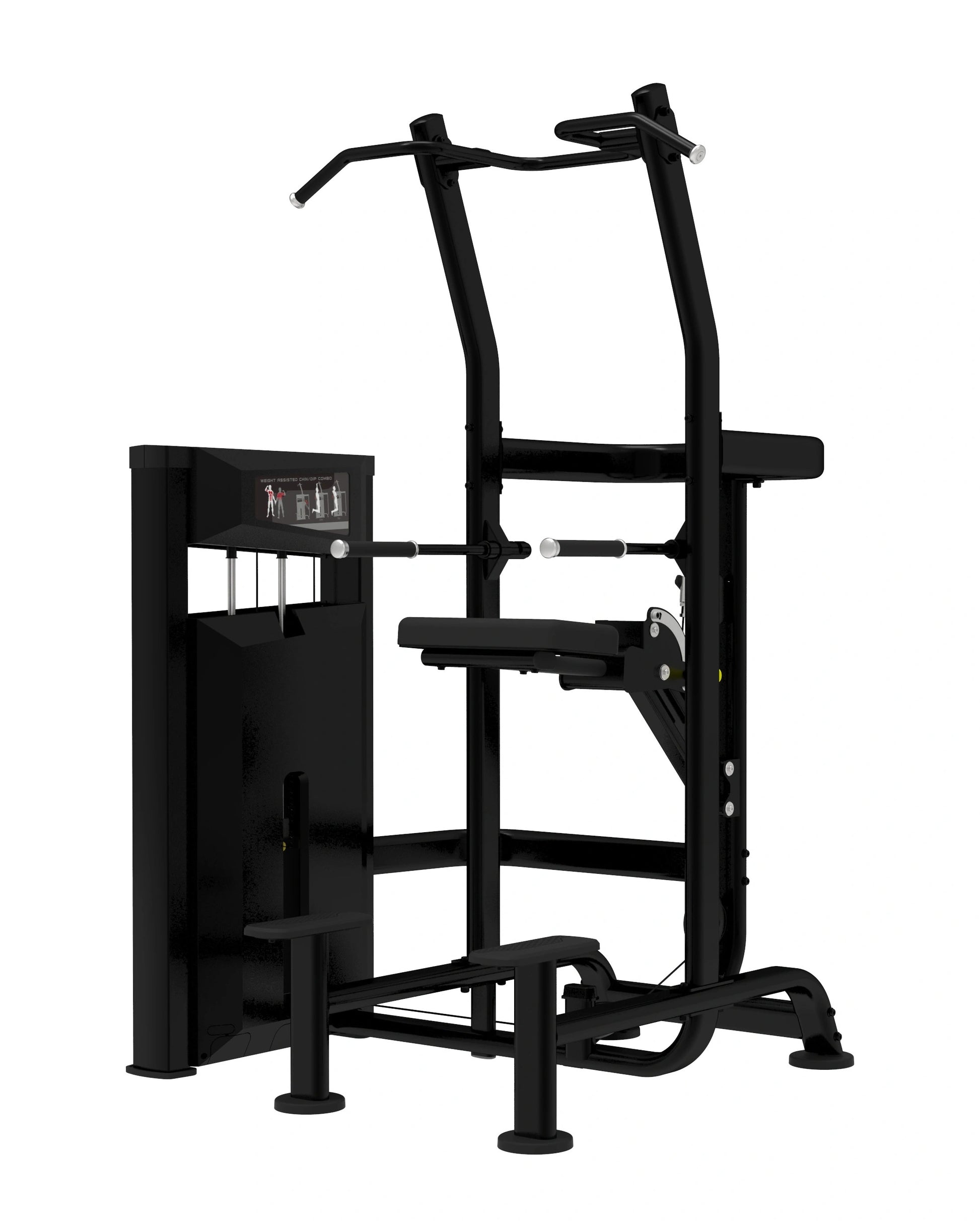 Platinum Series, Assisted Chin / Dip