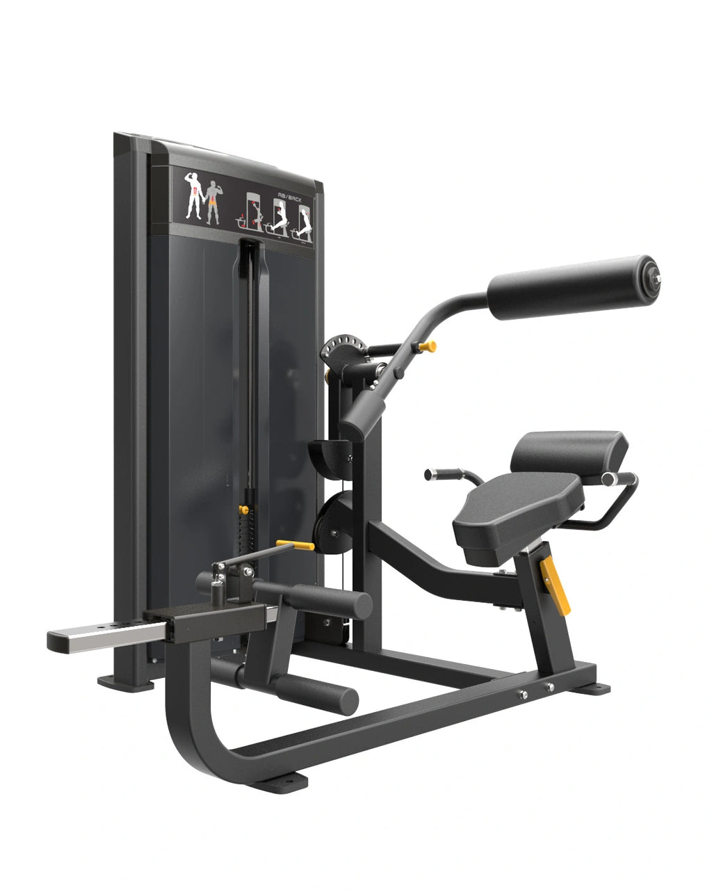 Pro Series, Ab / Back