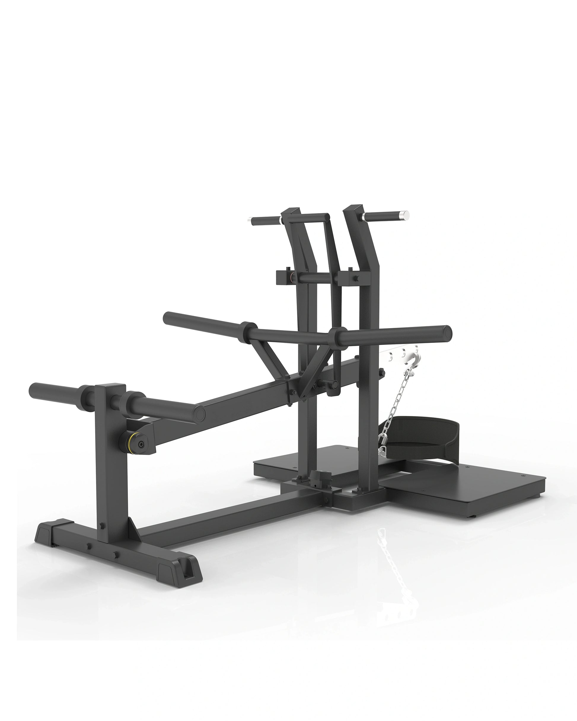 Pro Series Plate Loaded, Belt Squat