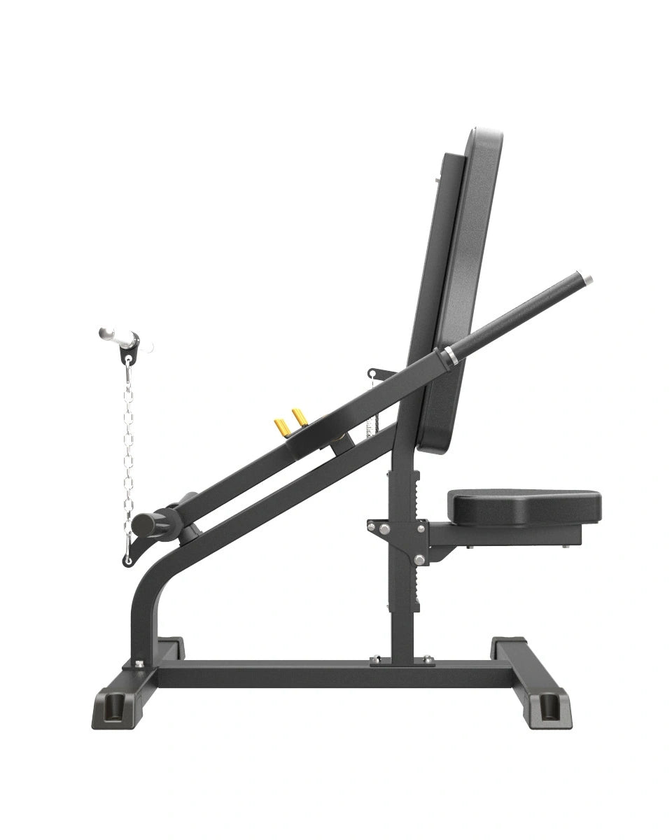 Pro Series Plate Loaded, Bicep Triceps