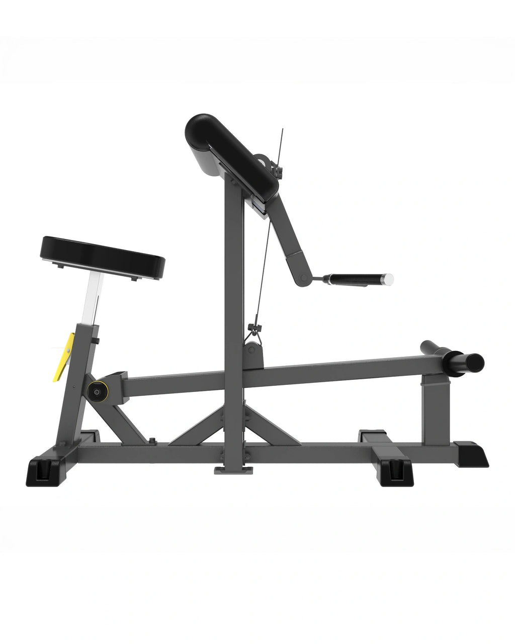 Pro Series Plate Loaded, Bicep Curl