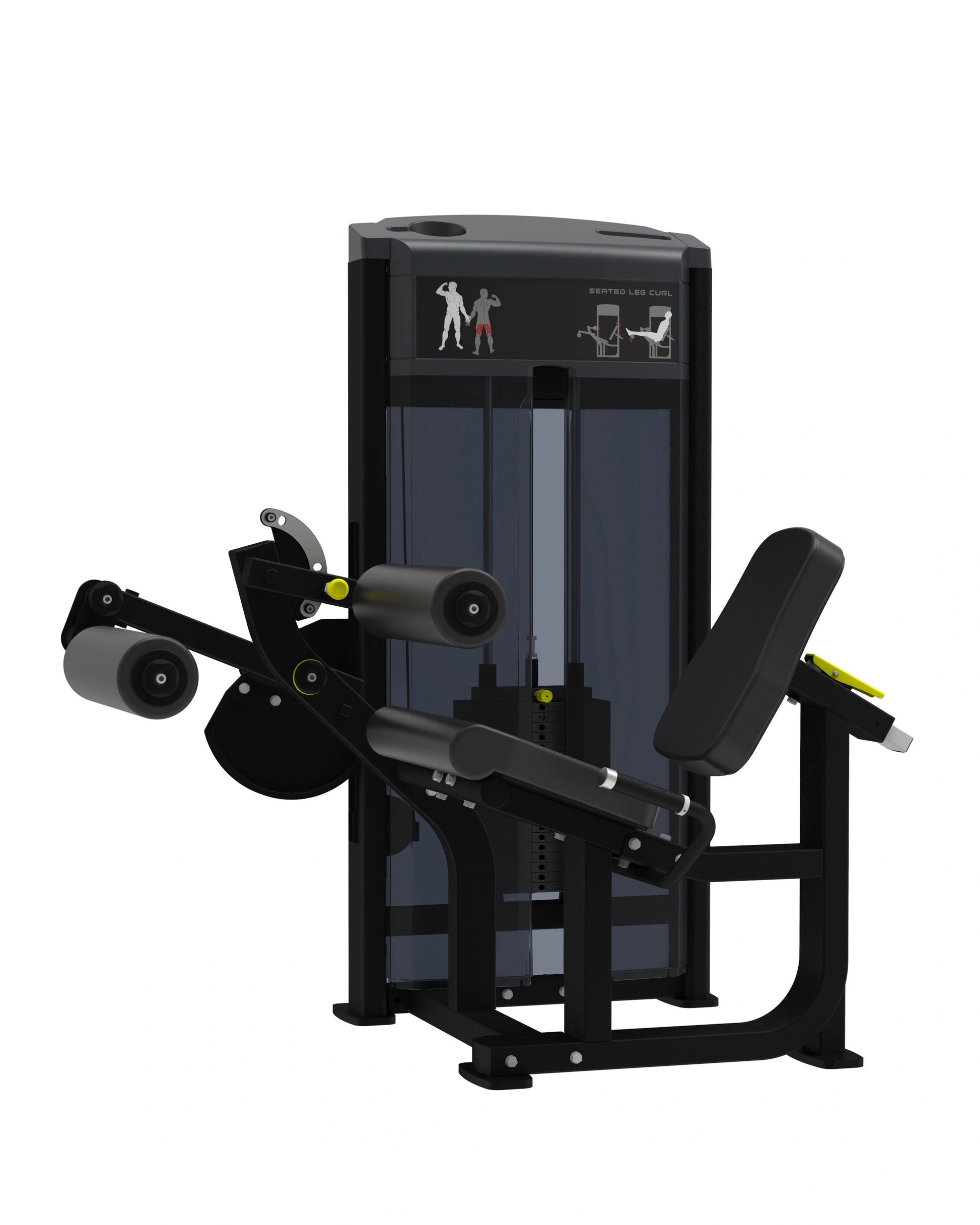 Pro Series, Seated Leg Curl