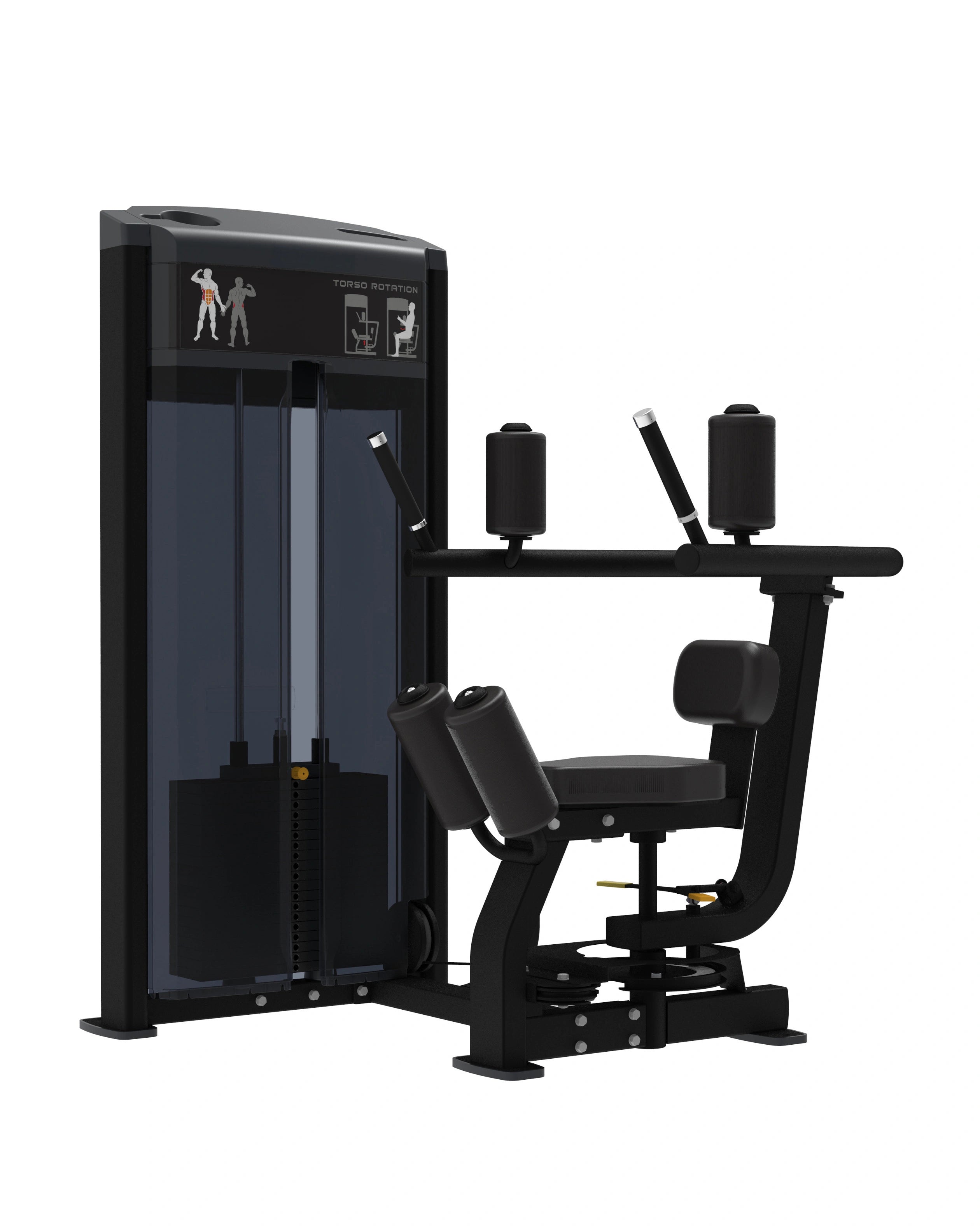 Pro Series Torso Rotation Strength Machine - Precise and Adjustable ...