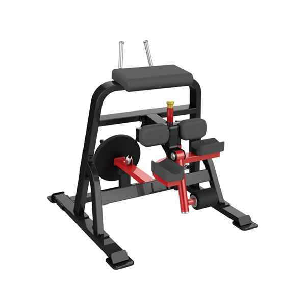 Sterling Series, Standing Leg Curl – Gym Gear