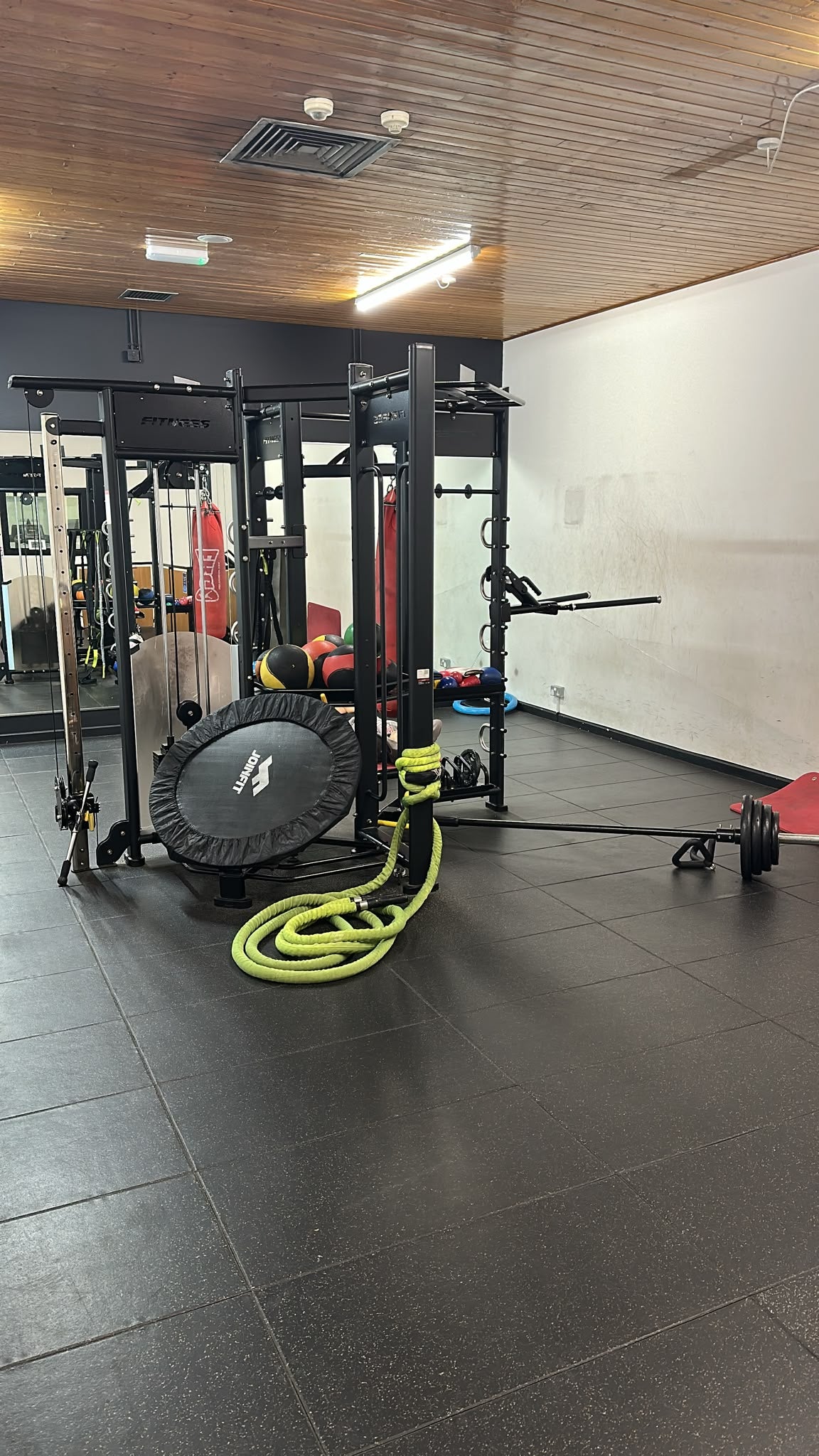 Cardio, Strength & Free Weights