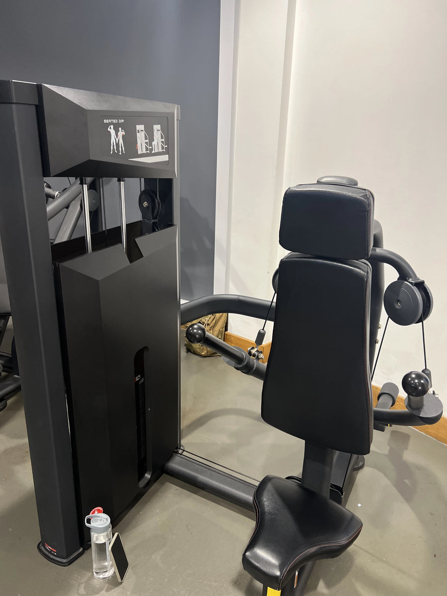 Gym Gear Platinum Series Seated Dip
