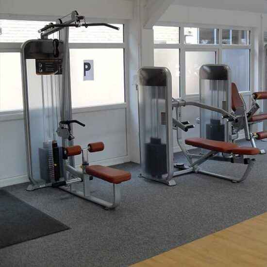 Dual Series Lat Pulldown in gym