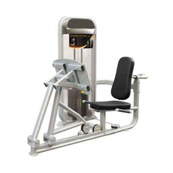 Dual Series, Leg Press / Calf Raise Machine