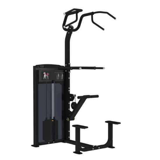 Pro Series, Assisted Chin / Dip Machine