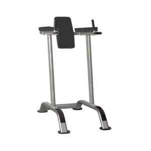 Elite Series, Vertical Knee Raise Gym Machine