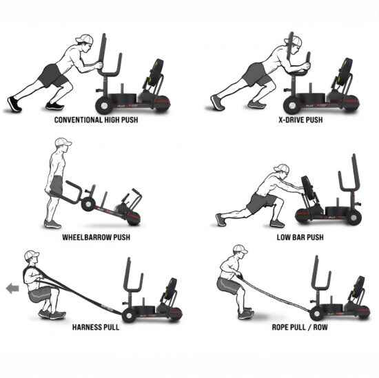 XT3 Power Sled V2 Exercise Graphic