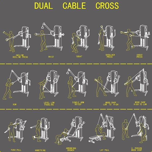 Dual Arm Cable Crossover