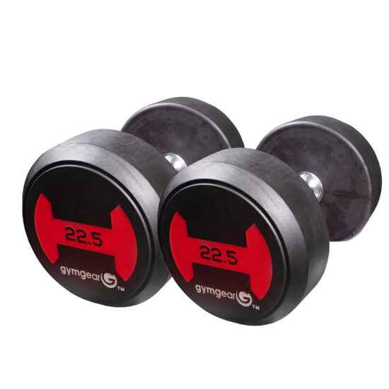 22.5kg dumbells pair