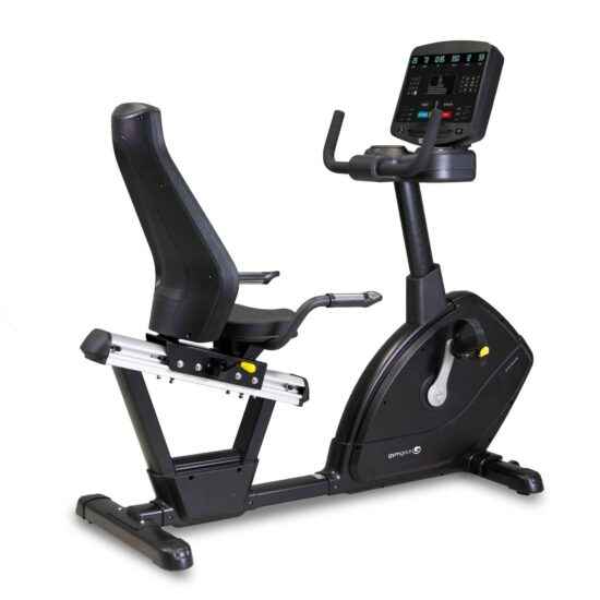 Endurance Recumbent Bike