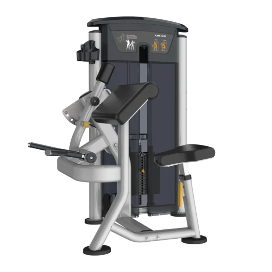 Perform Series Bicep Curl 3