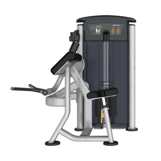 Perform Series Bicep Curl 2