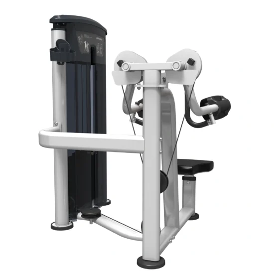 Perform Series Lateral Raise 6