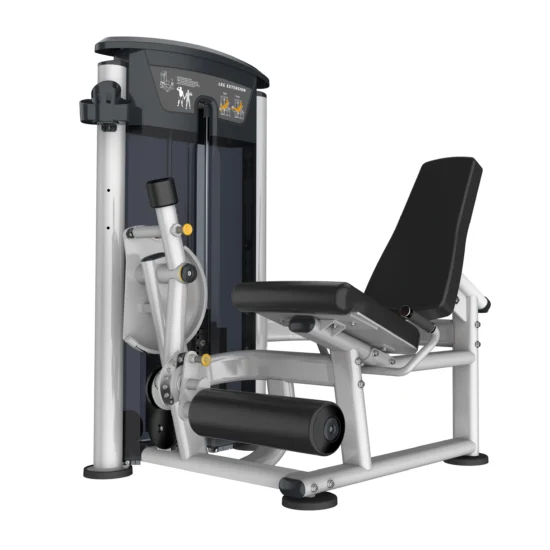 Perform Series Leg Extension 2