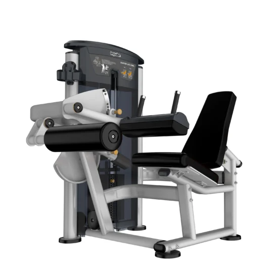 Perform Series Seated Leg Curl 1