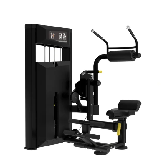 Platinum Series Abdominal / Back Extension