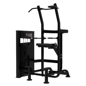 Platinum Series Assisted Chin / Dip