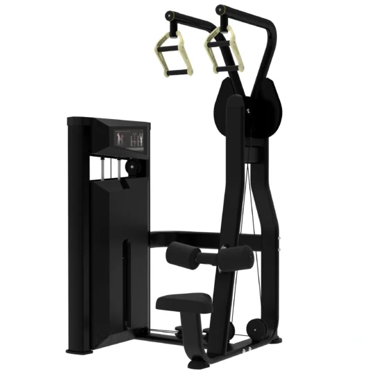Platinum Series Lat Pulldown Fixed