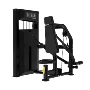 Platinum Series Seated Dip