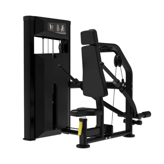 Platinum Series Seated Dip
