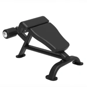 Elite Series Roman Chair 1