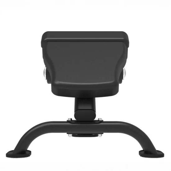 Elite Series Roman Chair 2