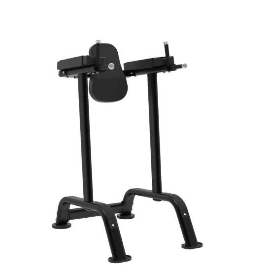 Elite Series Vertical Knee Raise Frame VKR 1